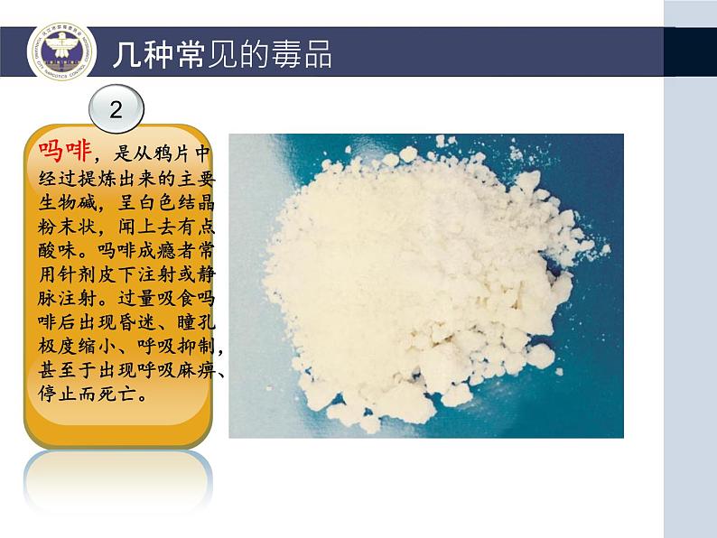 《健康人生绿色无毒》禁毒教育主题班会课件PPT06