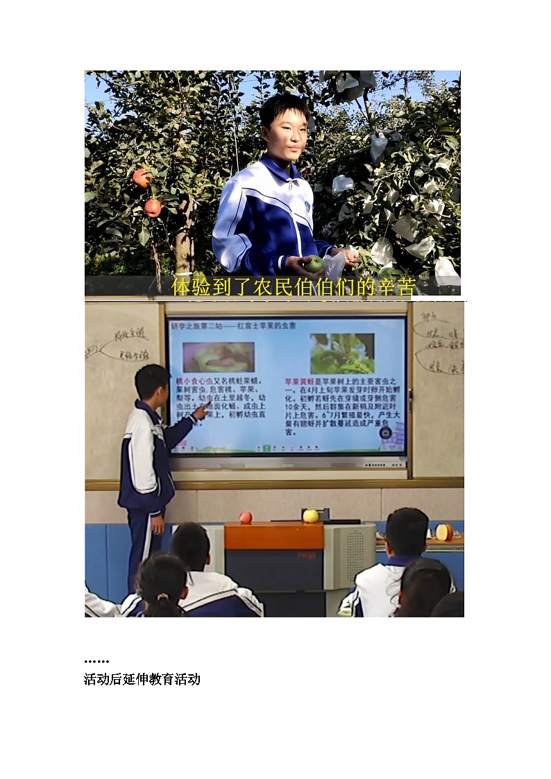 初中拓展班会 七年级“一粒米的旅行”主题班会教学设计03