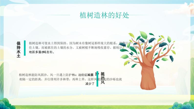 【植树节】添绿护绿，人人有责-主题班会课件06