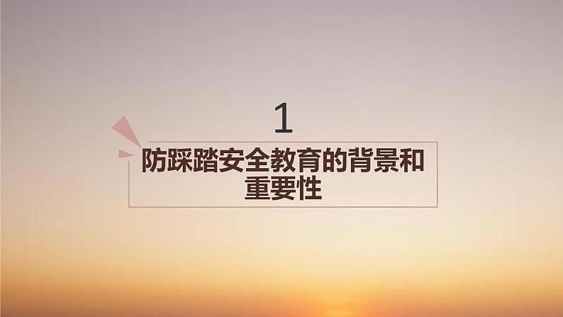 防踩踏安全教育班会课件第3页