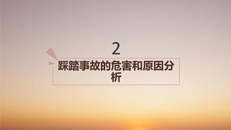 防踩踏安全教育班会课件第6页