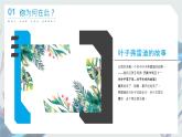 生命的意义-小学生心理健康教育主题班会 课件