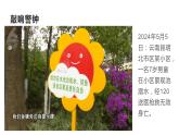 珍愛生命，預防溺水主題班會課件PPT
