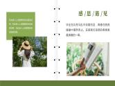 校园毕业季青春主题汇报PPT模板