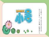 撞色背景的小暑节气介绍PPT模板