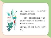 撞色背景的小暑节气介绍PPT模板