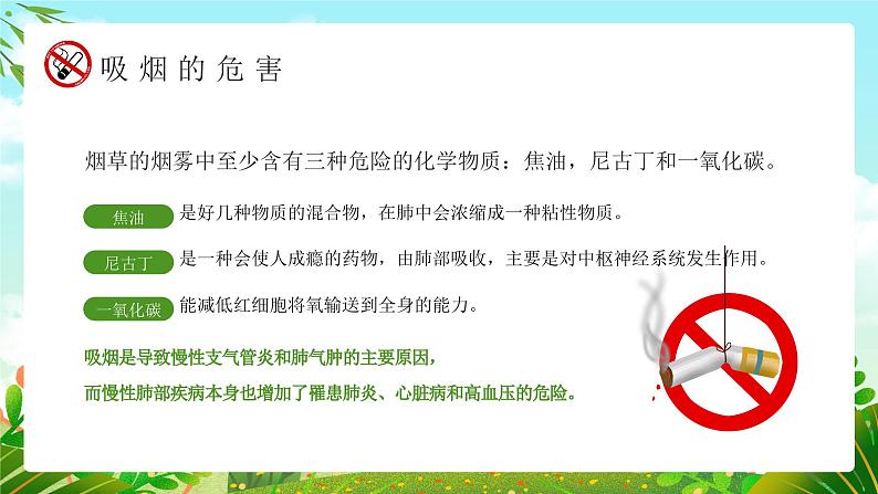 绿色卡通风世界无烟日幼儿园禁烟主题家长会PPT第8页