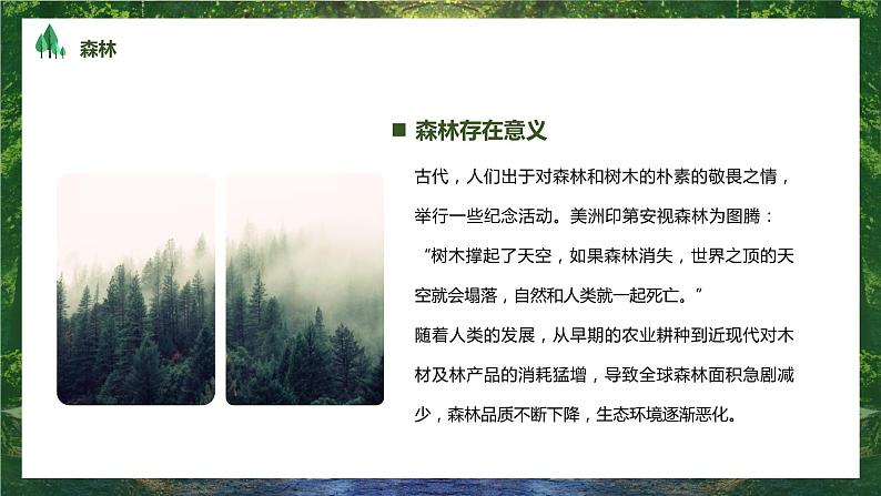 绿色简约风世界森林日PPT07