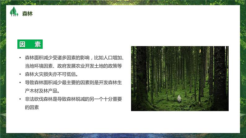 绿色简约风世界森林日PPT08