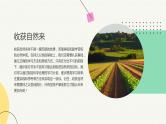 但求耕耘，不问收获主题班会通用课件