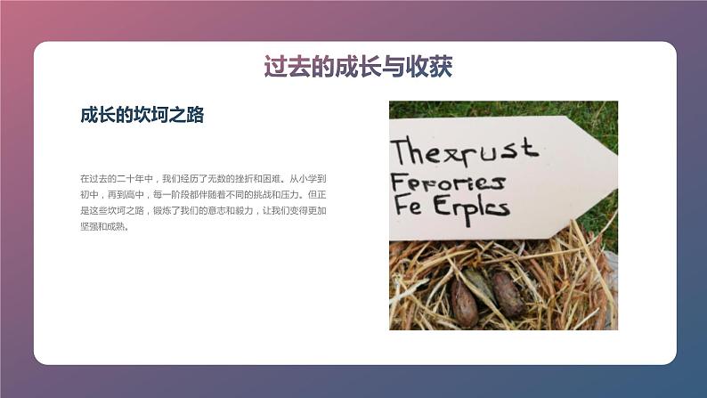 二十年以后我们再相会——回顾过去,展望未来高三主题班会通用课件05