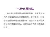 远离违法犯罪  做健康阳光好少年 课件