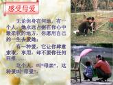 婦女節(jié)、母親節(jié)主題班會(huì) 課件