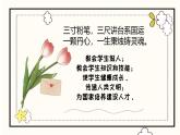 節(jié)日活動主題班會：教師節(jié) 課件