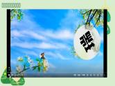 小学生主题班会通用版《粽香传情，平安端午》 课件