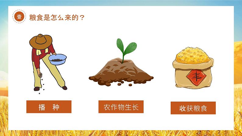 四川省金堂县金龙镇小学六一班主题班会：节约粮食从我做起 课件第5页