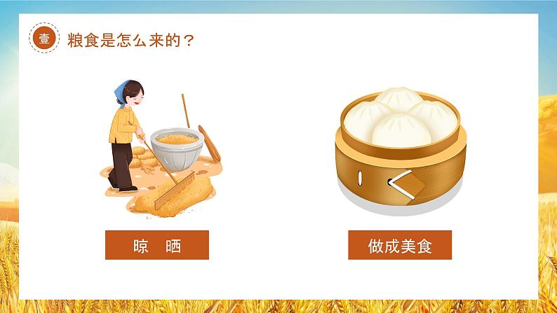 四川省金堂县金龙镇小学六一班主题班会：节约粮食从我做起 课件第6页