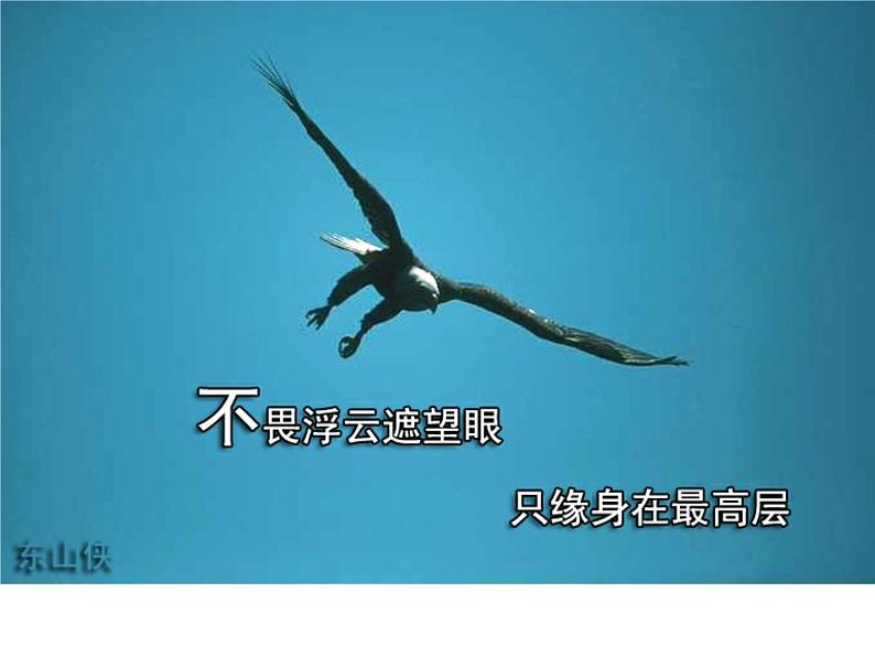 鹰——高中理想励志教育主题班会课件第5页