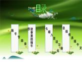 中国人过中国节——端午节课件