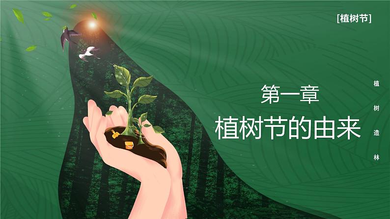 最新中小学通用版：植树节主题班会【课件】第3页