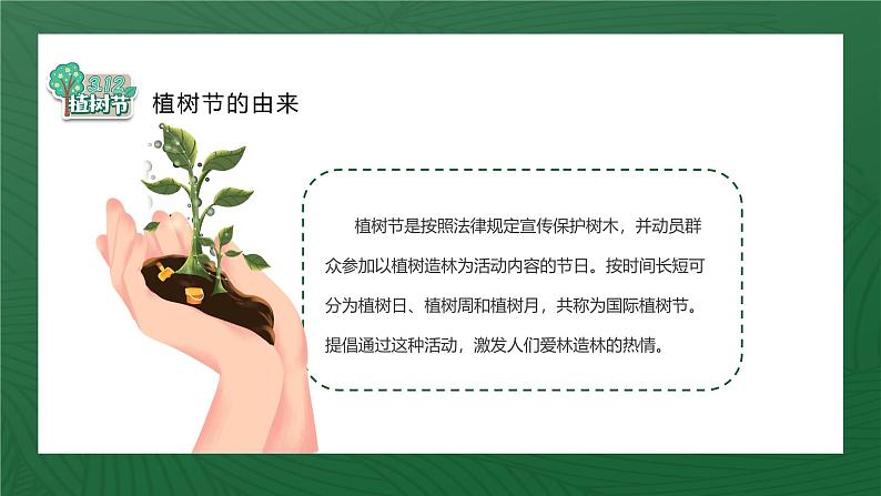 最新中小学通用版：植树节主题班会【课件】第5页