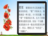中小学主题班会队会活动《珍爱生命，远离毒品安全教育》教学课件公开课