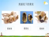 中小学主题班会队会活动《珍爱生命，远离毒品安全教育》教学课件公开课