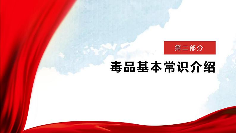 吉林省长春市朝阳区解放大路小学主题班会-珍爱生命-拒绝du品【课件】第8页