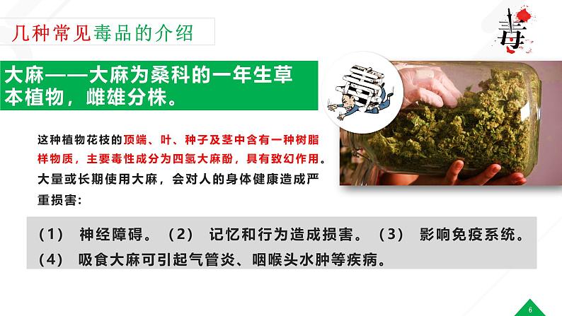 湖南省长沙市芙蓉区育英小学主题班会-珍爱生命，拒绝du品【课件】第6页