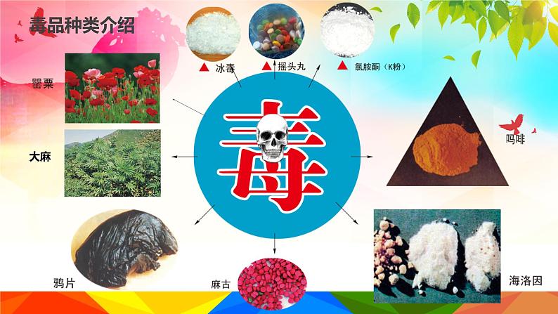 山东省威海市环翠区鲸园小学主题班会-珍爱生命 远离du品【课件】第8页