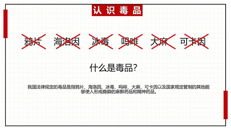 云南省昆明市五华区红旗小学主题班会-珍爱生命-拒绝du品【课件】第5页