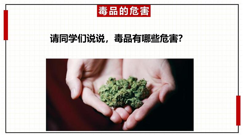 云南省昆明市五华区红旗小学主题班会-珍爱生命-拒绝du品【课件】第8页