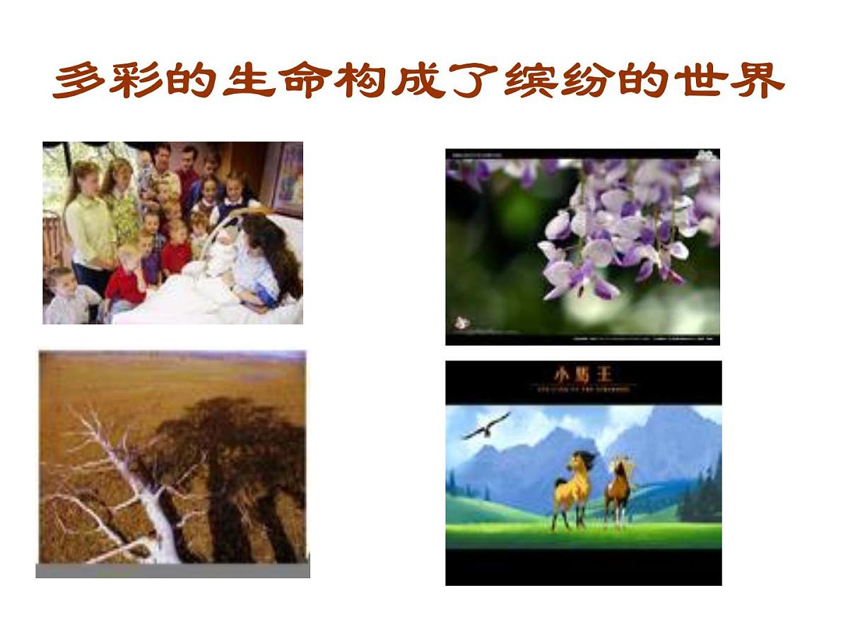 黑龙江省哈尔滨市依兰县达连河镇初级中学-主题班会-珍惜生命 健康成长【课件】第2页