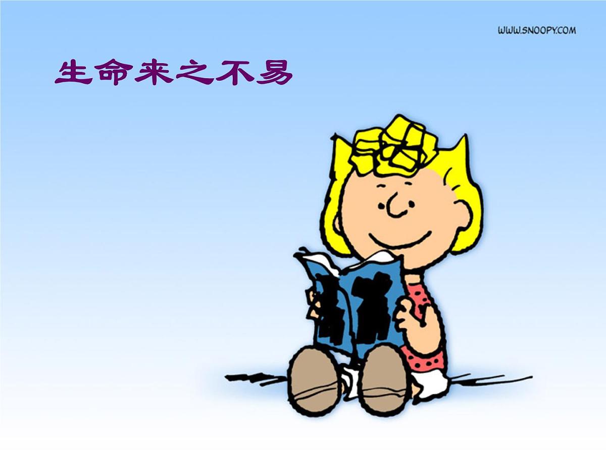 黑龙江省哈尔滨市依兰县达连河镇初级中学-主题班会-珍惜生命 健康成长【课件】第4页