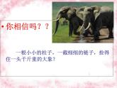 2024-2025學(xué)年江蘇省啟東市天汾初級中學(xué)-習(xí)慣養(yǎng)成教育-主題班會【課件】