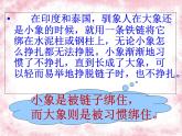 2024-2025學(xué)年江蘇省啟東市天汾初級中學(xué)-習(xí)慣養(yǎng)成教育-主題班會【課件】