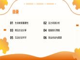 釋壓潤(rùn)心，賦能前行——2025年春季學(xué)期九年級(jí)生命教育主題班會(huì)課件