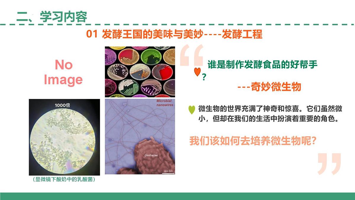 高二生物开学第一课（5大教学内容解读）-2024-2025学年高二生物课件（人教版2019选择性必修3）第6页