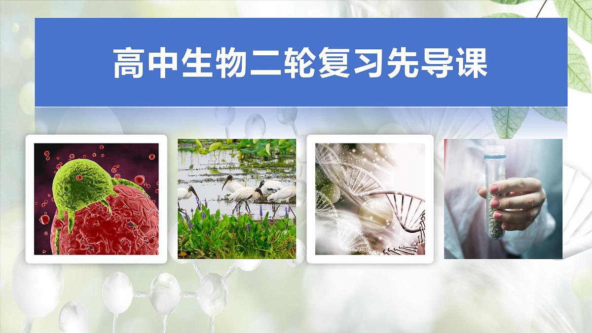 高三生物开学第一课-【开学第一课】2025年春季高中开学指南之爱上生物课件第1页