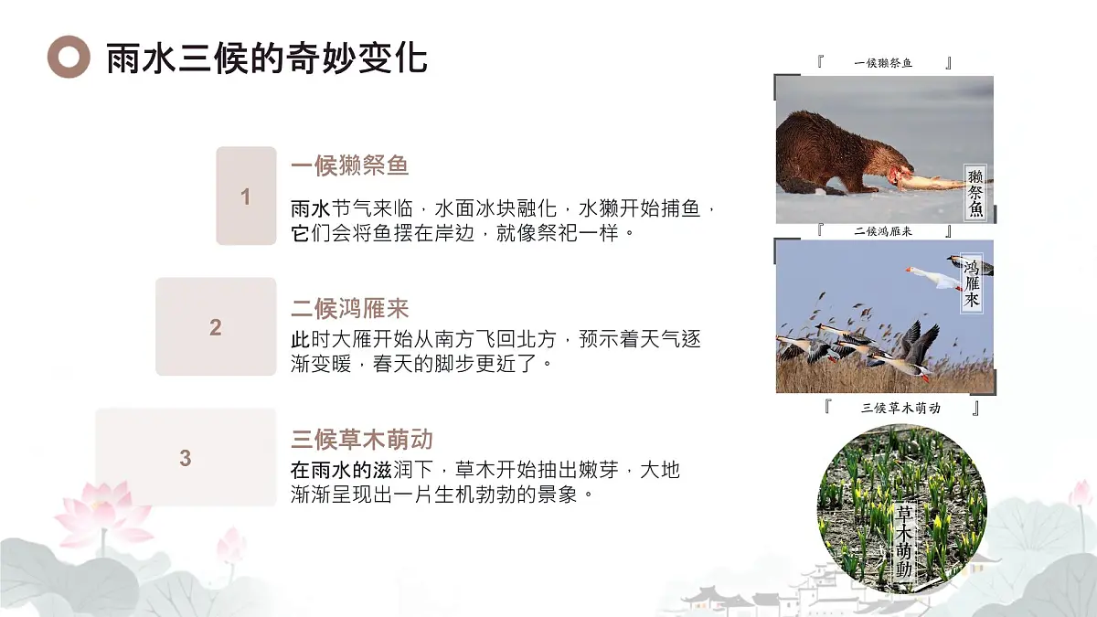二十四节气-雨水介绍（课件）-中国传统节日主题班会第8页