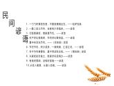 浙江省湖州市安吉縣孝豐鎮(zhèn)初級中學(xué)-主題班會-珍惜糧食 光盤行動【課件】