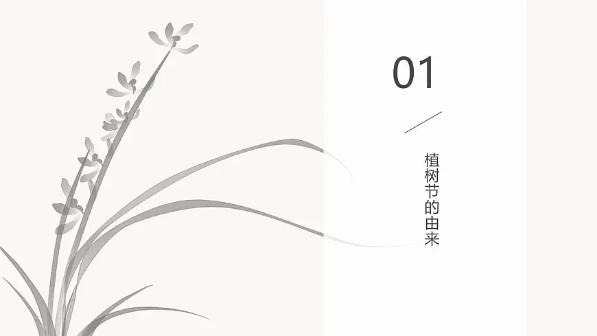 播种绿色希望，拥抱美好春天——植树节主题班会课件第2页