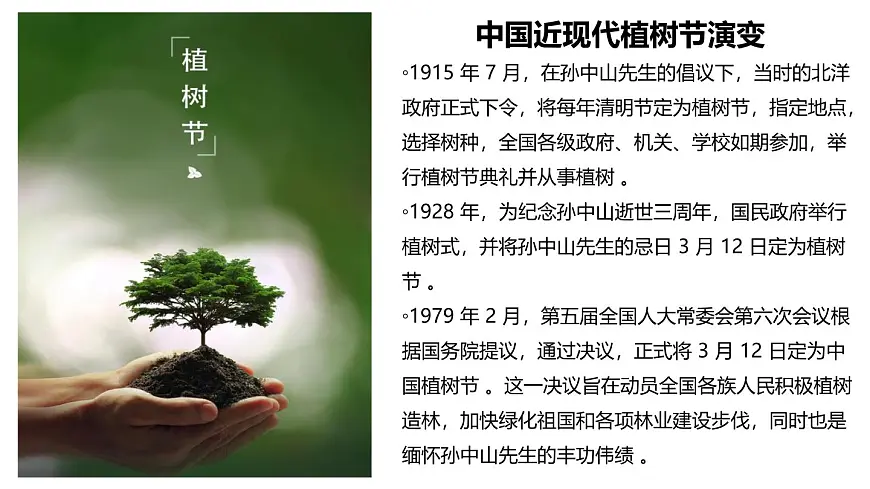 播种绿色希望，拥抱美好春天——植树节主题班会课件第7页
