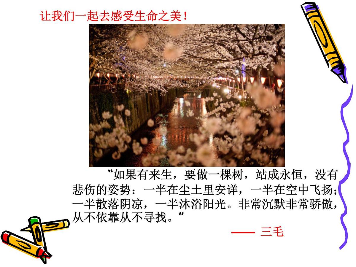 甘肃省酒泉市敦煌市七里镇初级中学-主题班会-认识自我-珍爱生命【课件】第5页