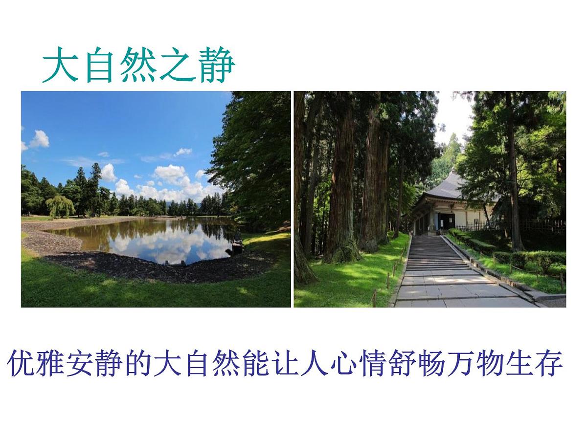广西省南宁市横州市峦城镇初级中学-主题班会-安静是一种美德【课件】第4页