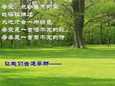 重慶市合川區(qū)錢塘鎮(zhèn)初級(jí)中學(xué)-主題班會(huì)-母愛【課件】