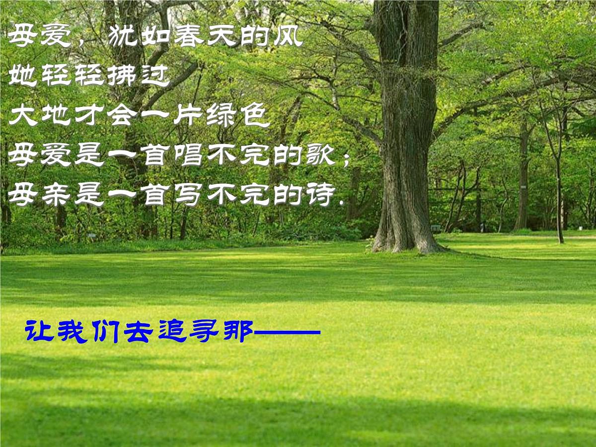重庆市合川区钱塘镇初级中学-主题班会-母爱【课件】第2页