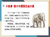 廣西上林縣巷賢鎮(zhèn)初級(jí)中學(xué)-主題班會(huì)-不要給自己設(shè)限 【課件】