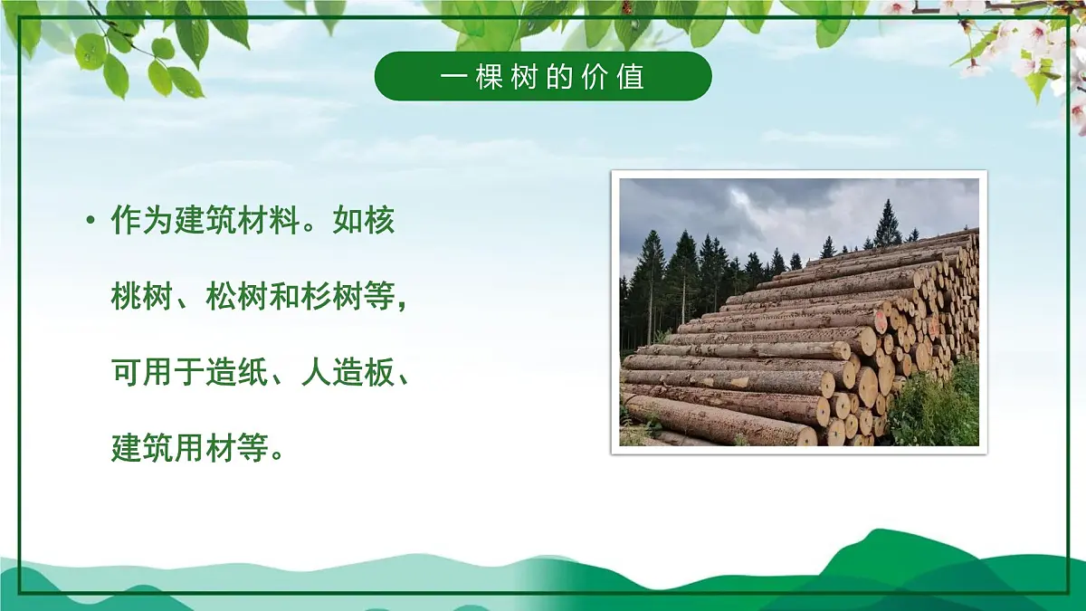 山东省泰安市新泰市楼德镇楼德小学-第4周主题班会-植树节【课件】第4页