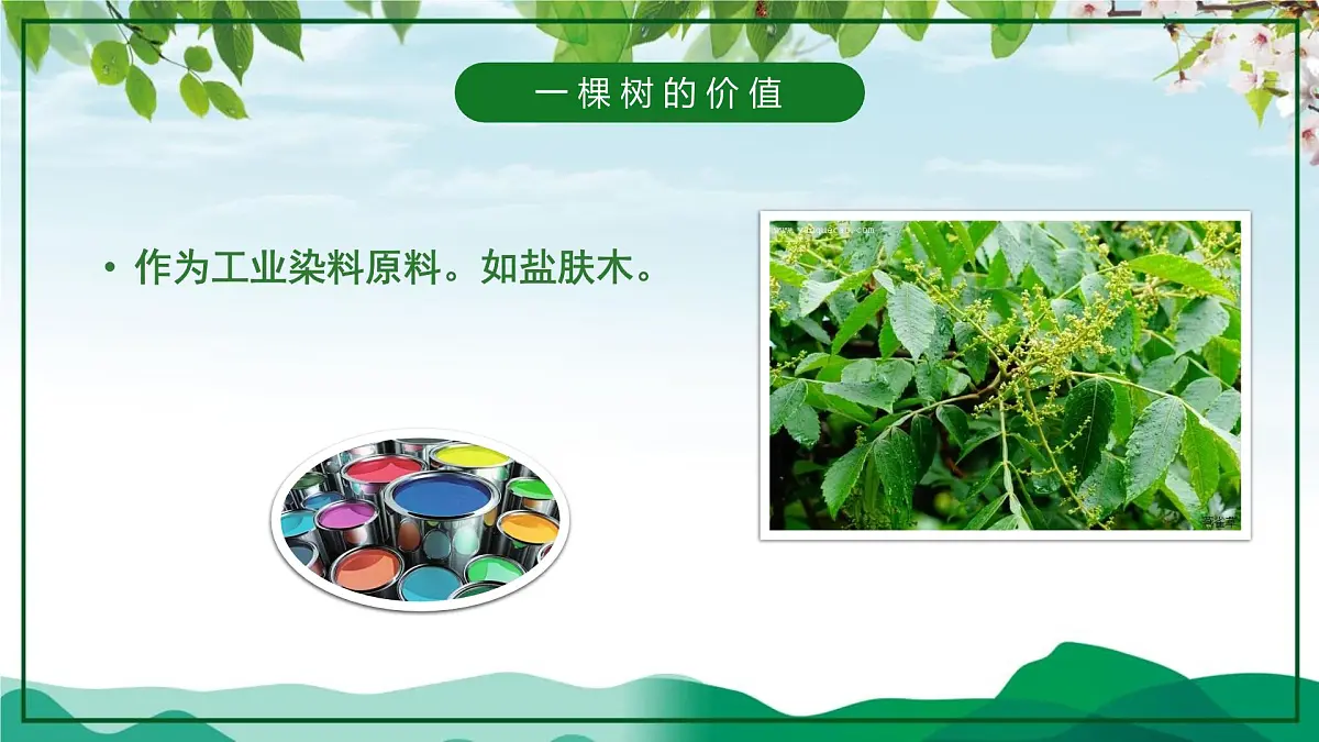 山东省泰安市新泰市楼德镇楼德小学-第4周主题班会-植树节【课件】第6页